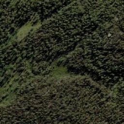 Satellite imagery of Tantawangalo Mountain, AU