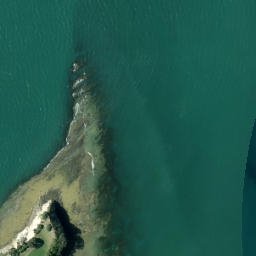Satellite imagery of Mangoparerua Point, NZ