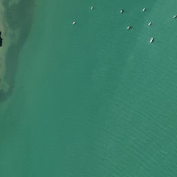 Satellite imagery of Maunganui Point, NZ