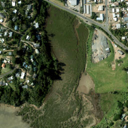 Satellite imagery of 981 NO 2, NZ