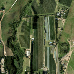 Satellite imagery of 981 NO 2, NZ