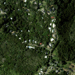 Satellite imagery of 953 NO 2, NZ