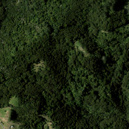 Satellite imagery of 953 NO 2, NZ