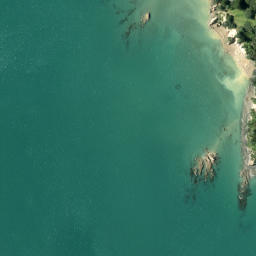 Satellite imagery of Pakatoa Point, NZ