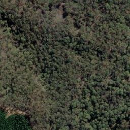 Satellite imagery of Mount Albert, AU