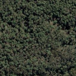 Satellite imagery of Mount Albert, AU