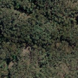 Satellite imagery of Mount Albert, AU
