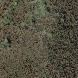 Satellite imagery of Forest Hill, AU