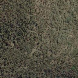 Satellite imagery of Forest Hill, AU