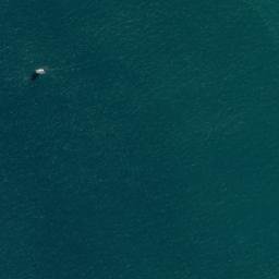 Satellite imagery of Flax Point, NZ