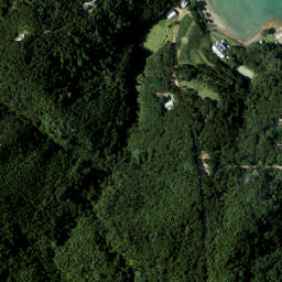 Satellite imagery of Pakihi Point, NZ