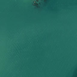 Satellite imagery of Pakatoa Point, NZ