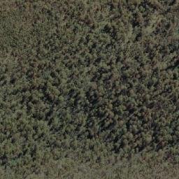 Satellite imagery of Forest Hill, AU
