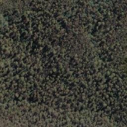 Satellite imagery of Forest Hill, AU