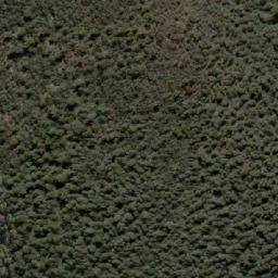 Satellite imagery of Forest Hill, AU