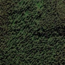 Satellite imagery of Tantawangalo Mountain, AU