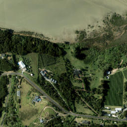 Satellite imagery of 980 NO 2, NZ