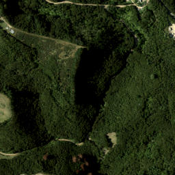 Satellite imagery of Pakihi Point, NZ