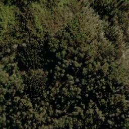 Satellite imagery of Bald Hill, AU