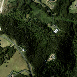 Satellite imagery of 980 NO 2, NZ