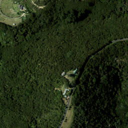 Satellite imagery of 980 NO 2, NZ