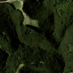 Satellite imagery of Pakihi Point, NZ