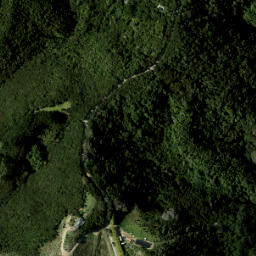 Satellite imagery of Pakihi Point, NZ