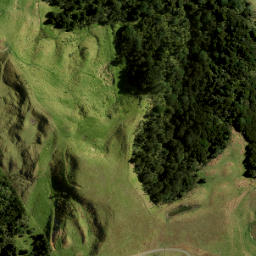 Satellite imagery of 1454, NZ