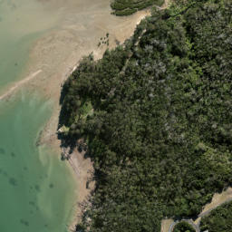 Satellite imagery of Kauri Point Birkenhead, NZ