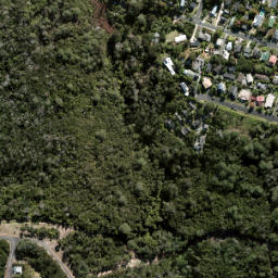 Satellite imagery of Kauri Point Birkenhead, NZ