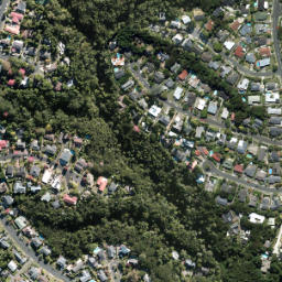Satellite imagery of Kauri Point, NZ