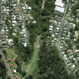Satellite imagery of Kauri Point, NZ