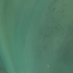 Satellite imagery of O'Neill's Point, NZ