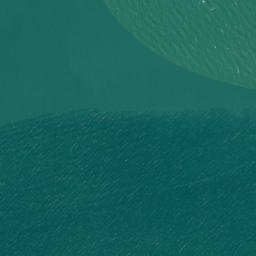 Satellite imagery of Te Whau Point, NZ