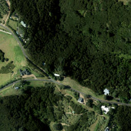 Satellite imagery of 980 NO 2, NZ