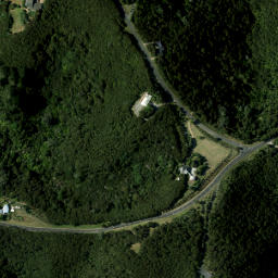 Satellite imagery of 980 NO 2, NZ