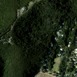 Satellite imagery of 980 NO 2, NZ