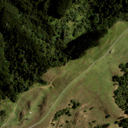Satellite imagery of 1454, NZ