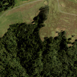 Satellite imagery of 1454, NZ
