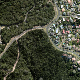 Satellite imagery of Kauri Point Birkenhead, NZ