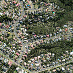 Satellite imagery of Kauri Point, NZ