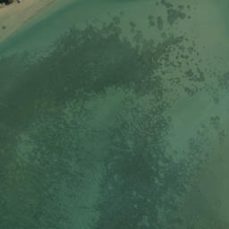 Satellite imagery of O'Neill's Point, NZ