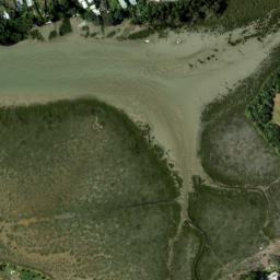 Satellite imagery of Duders Point, NZ