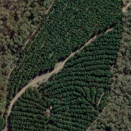 Satellite imagery of Rocky Ned, AU