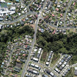Satellite imagery of 8 (Waitemata SD), NZ