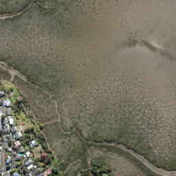 Satellite imagery of Orukuwai Point, NZ