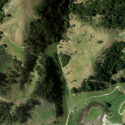 Satellite imagery of Graveyard Point, NZ