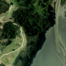 Satellite imagery of Graveyard Point, NZ