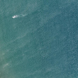 Satellite imagery of Whakapenui Point, NZ
