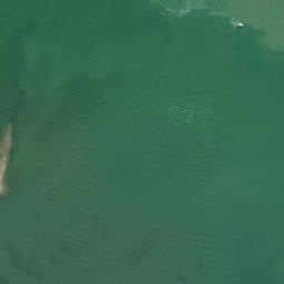 Satellite imagery of Boat Rock, NZ
